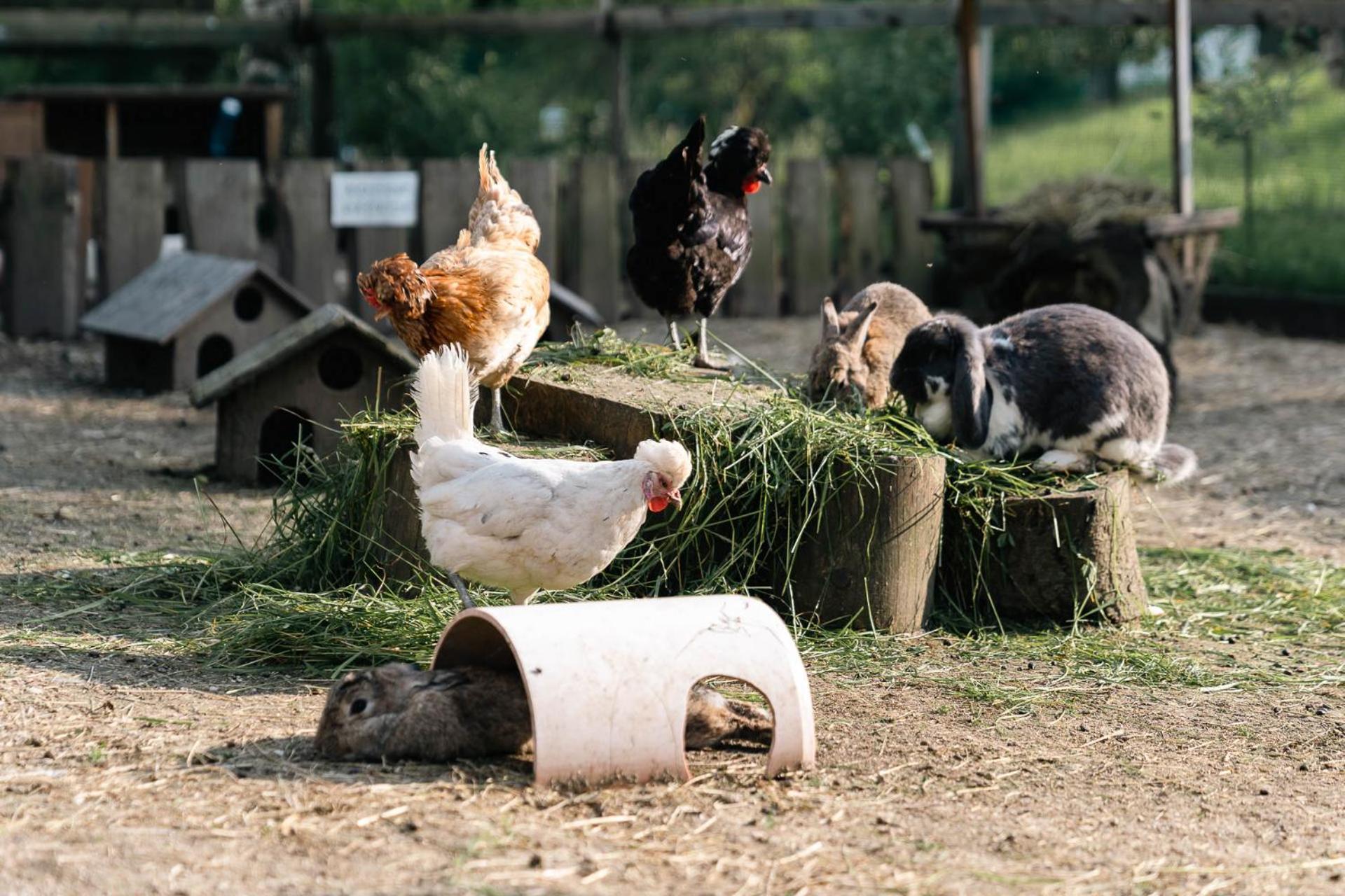Ferienwohnung Grubinger Unterach am Attersee Exteriér fotografie