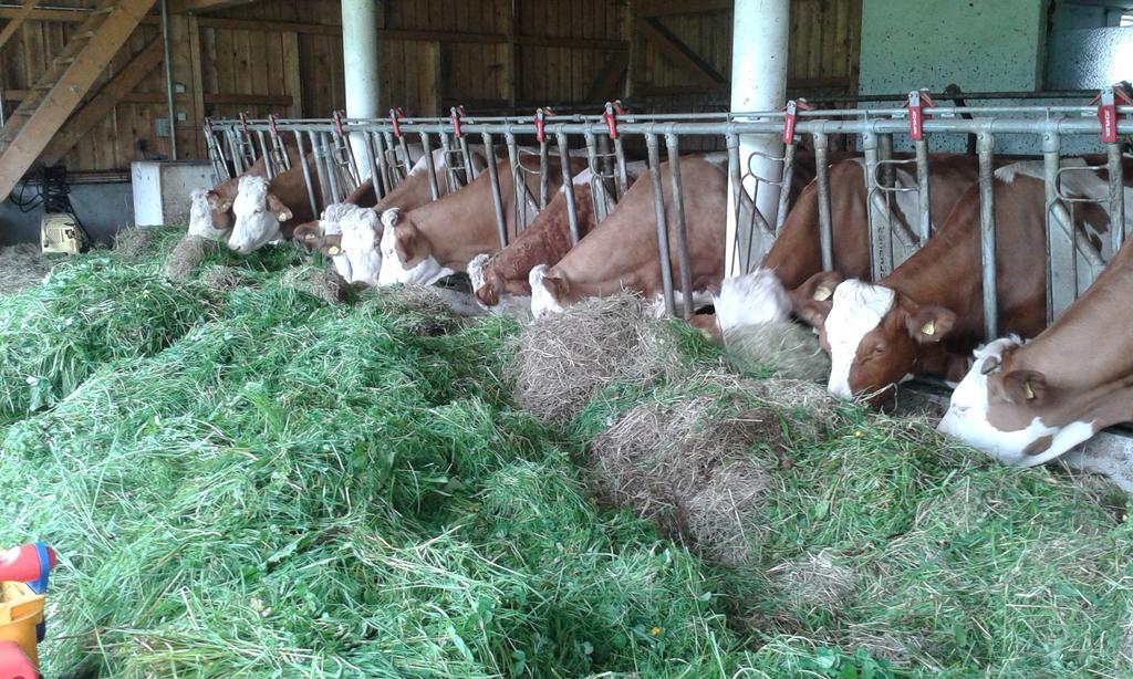 Ferienwohnung Grubinger Unterach am Attersee Exteriér fotografie