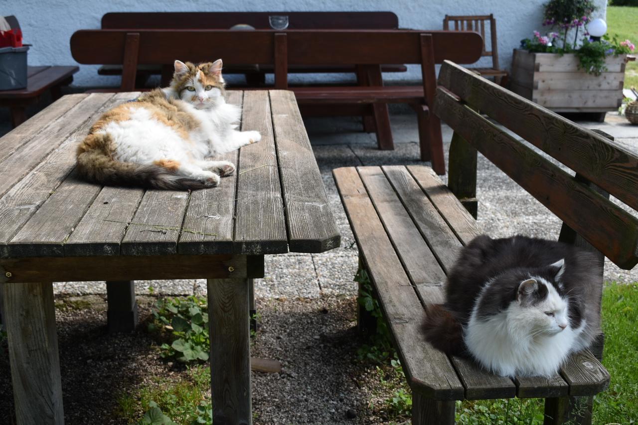 Ferienwohnung Grubinger Unterach am Attersee Exteriér fotografie