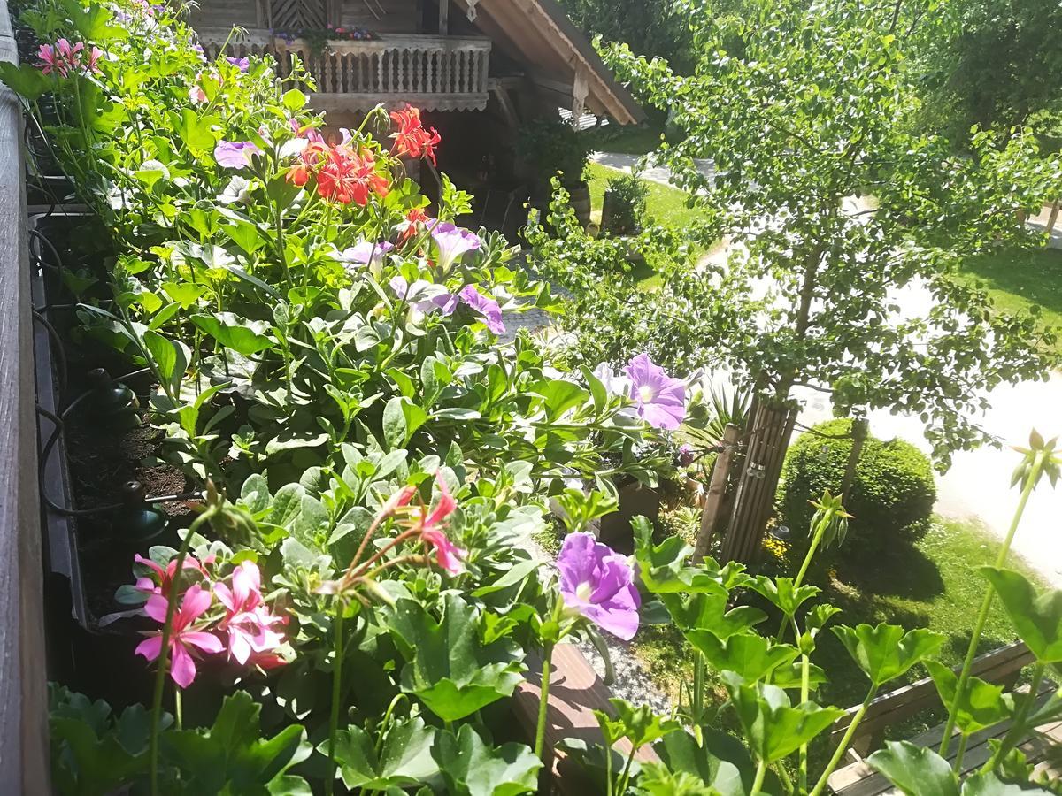 Ferienwohnung Grubinger Unterach am Attersee Exteriér fotografie
