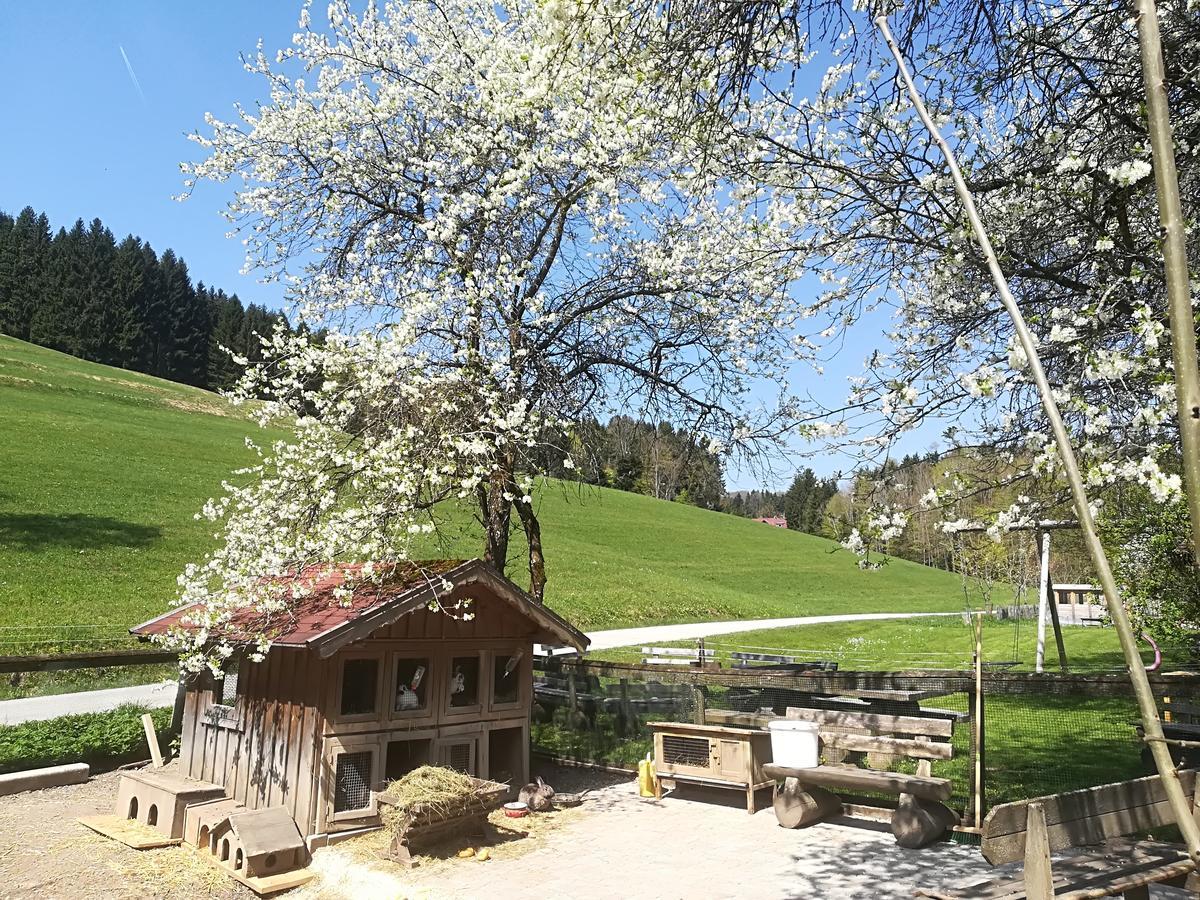 Ferienwohnung Grubinger Unterach am Attersee Exteriér fotografie